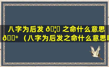 八字为后发 🦋 之命什么意思 💮 （八字为后发之命什么意思啊）